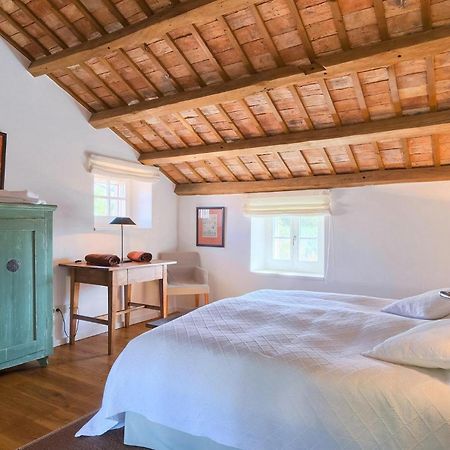 Villa Cipresso Poreč Zewnętrze zdjęcie